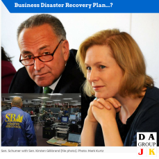Biz Disaster Recovery Plan...-